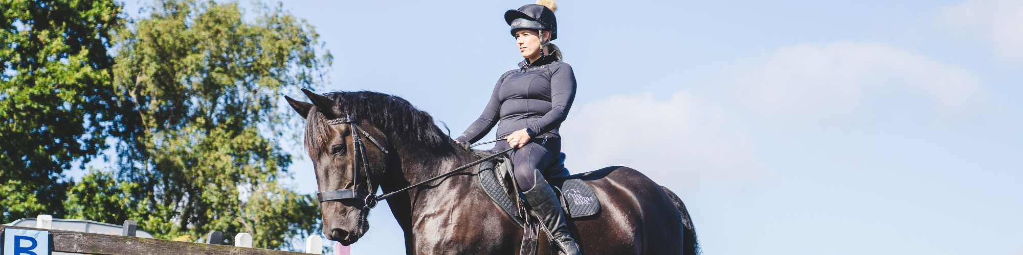 Online Equestrian Supplies 2 Online Equestrian Supplies -Online Equestrian Supplies 1