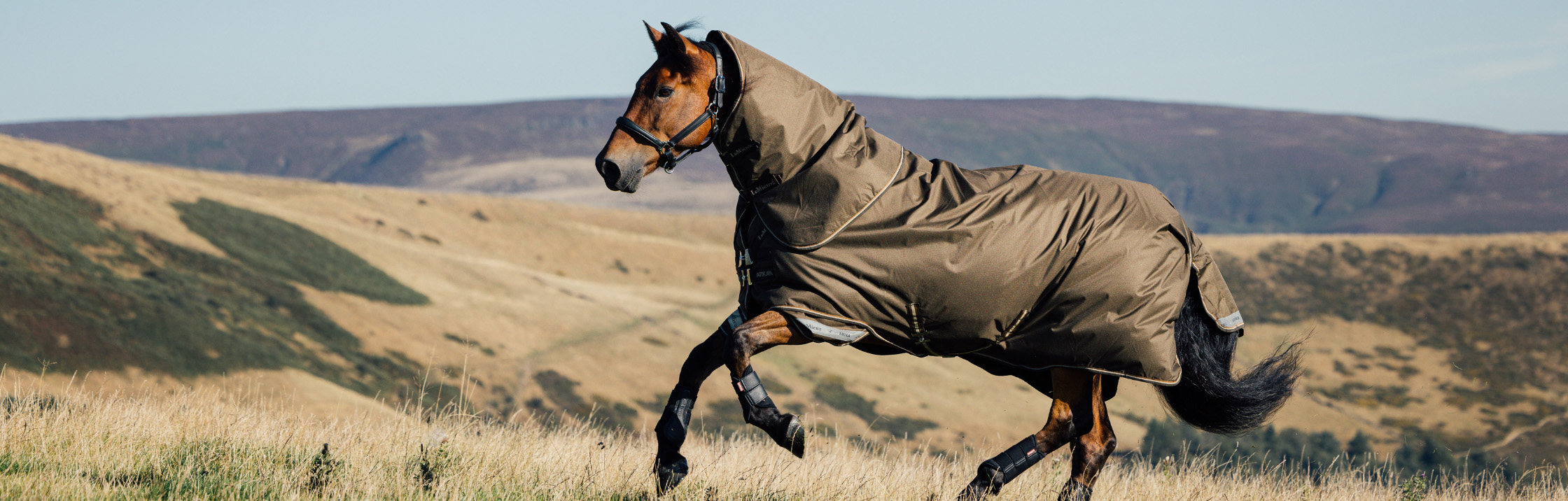 Online Equestrian Supplies 20 Online Equestrian Supplies -Online Equestrian Supplies 2